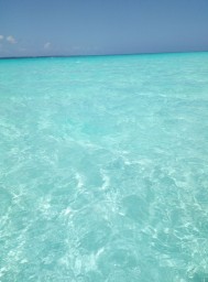 Декабрь 2020. Занзибар, отель Zanzibar Bay Resort 4* Декабрь 2020. Занзибар, отель Zanzibar Bay Resort 4*