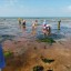 Декабрь 2020. Занзибар, отель Zanzibar Bay Resort 4* 5 Декабрь 2020. Занзибар, отель Zanzibar Bay Resort 4* 5
