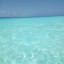 Декабрь 2020. Занзибар, отель Zanzibar Bay Resort 4*