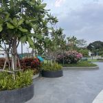 Паттайя, отель Royal cliff beach 5* 2 Паттайя, отель Royal cliff beach 5* 2