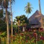 Занзибар, отель PARADISE BEACH 4* 3 Занзибар, отель PARADISE BEACH 4* 3