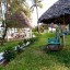 Декабрь 2020. Занзибар, отель Zanzibar Bay Resort 4* 8 Декабрь 2020. Занзибар, отель Zanzibar Bay Resort 4* 8