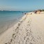 Декабрь 2020. Занзибар, отель Zanzibar Bay Resort 4* 3 Декабрь 2020. Занзибар, отель Zanzibar Bay Resort 4* 3