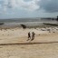 Декабрь 2020. Занзибар, отель Zanzibar Bay Resort 4* 4 Декабрь 2020. Занзибар, отель Zanzibar Bay Resort 4* 4