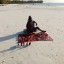 Декабрь 2020. Занзибар, отель Zanzibar Bay Resort 4* 11 Декабрь 2020. Занзибар, отель Zanzibar Bay Resort 4* 11