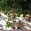 Аланья, Floria Beach Hotel 2 Аланья, Floria Beach Hotel 2