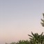 LIU Resorts, Турция, 14.10-25.10.21 5 LIU Resorts, Турция, 14.10-25.10.21 5