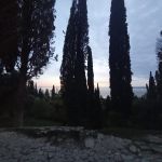 Абхазия, отель Капитан Блэк 8 Абхазия, отель Капитан Блэк 8