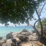 GARDEN CLIFF RESORT & SPA 5*,февраль 2023 1