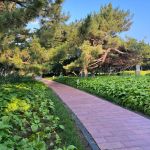 Бэйдайхе отдыхали с 29.07. по 10.08.24. 2 Бэйдайхе отдыхали с 29.07. по 10.08.24. 2