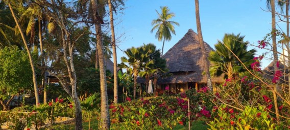 Занзибар, отель PARADISE BEACH 4* Занзибар, отель PARADISE BEACH 4*