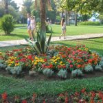 Черногория,Будва,Словянска Плаза 4* 2 Черногория,Будва,Словянска Плаза 4* 2