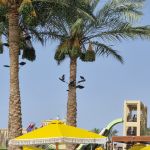 Египет,Rixos Premium 5* июнь -2023 5 Египет,Rixos Premium 5* июнь -2023 5