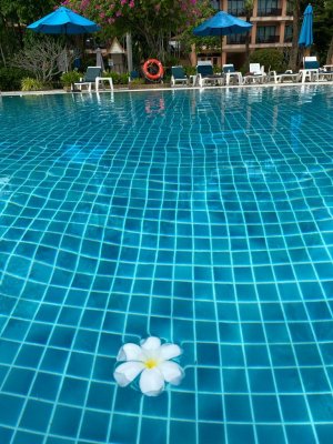 Duangjitt Resort 5*,декабрь 2023 Duangjitt Resort 5*,декабрь 2023