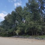 GRACELAND, KHAO LAK декабрь-2023 1