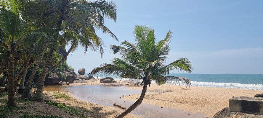 Novosibirsk, Коломбо, Riu Sri Lanka 5* Novosibirsk, Коломбо, Riu Sri Lanka 5*