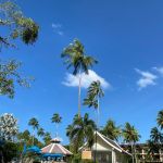 Duangjitt Resort 5*,декабрь 2023 0