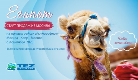 Египет. Курорты Красного моря снова доступны!