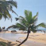 Novosibirsk, Коломбо, Riu Sri Lanka 5*