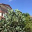 Турция,Кемер,IRON hotel 4 * 7 Турция,Кемер,IRON hotel 4 * 7