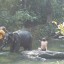 ГОА, 2008 48 ГОА, 2008 48