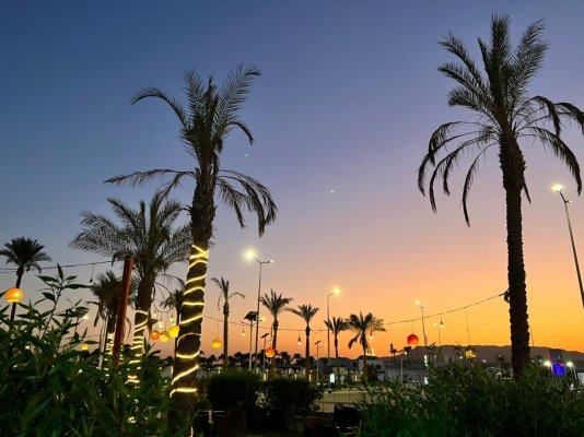 Египет,Sharm El Sheikh . Pickalbatros Aqua Blu 4* Египет,Sharm El Sheikh . Pickalbatros Aqua Blu 4*