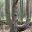 Калининград экскурсионный,июль 2021 0 Калининград экскурсионный,июль 2021 0