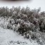 Алтай. Белокуриха. 11